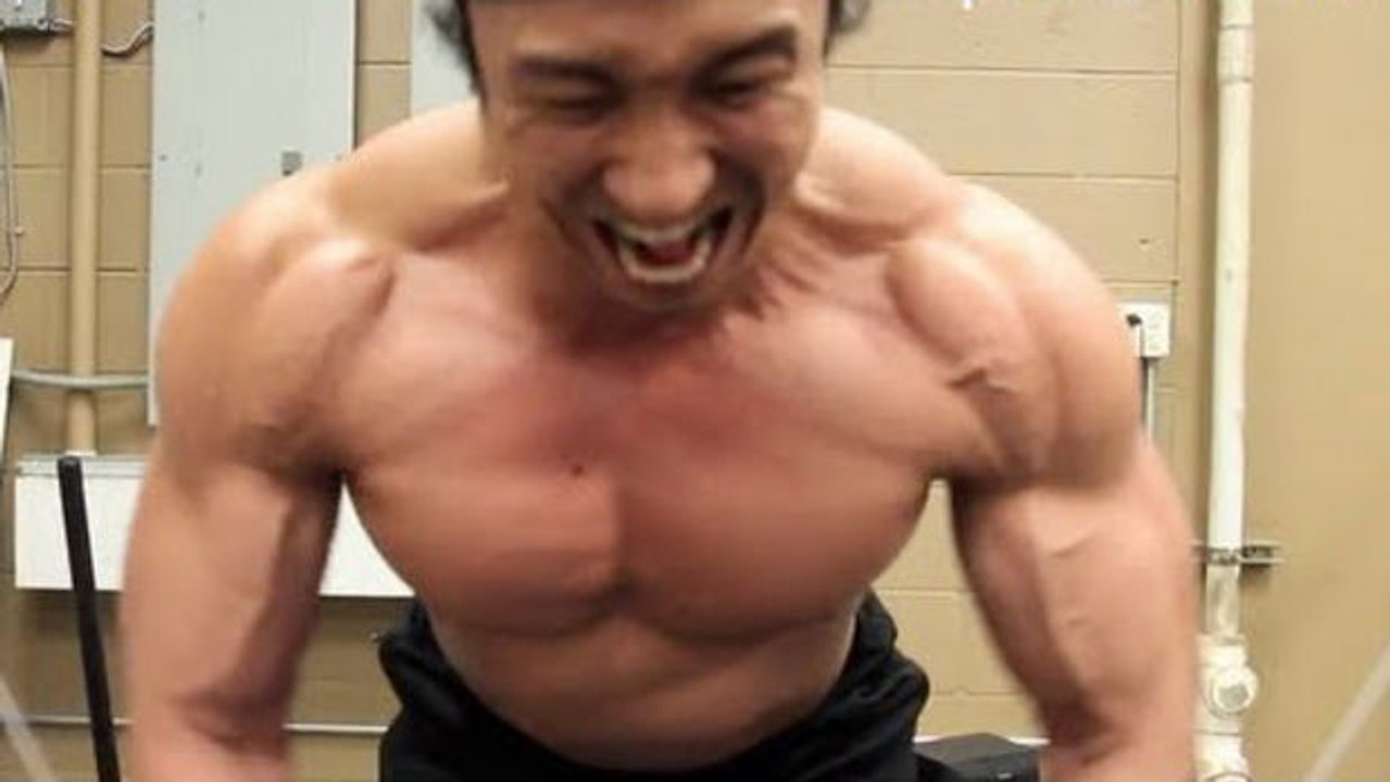 Ein komplettes Programm für Muskelaufbau und Fettverbrennung