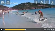 Des Brésiliens sauvent des dauphins de l'échouage