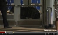 Un ours sème la panique dans un centre commercial