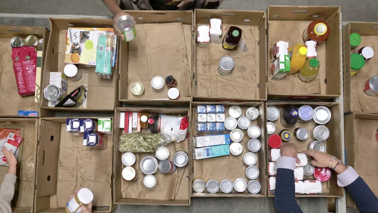 Familie spendet alte Möbel: Doch darin hat sich ihre Katze versteckt