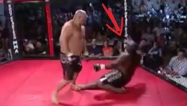 Unglaublicher Kampf der Schwergewichte endet mit einem gewaltigem K.O.