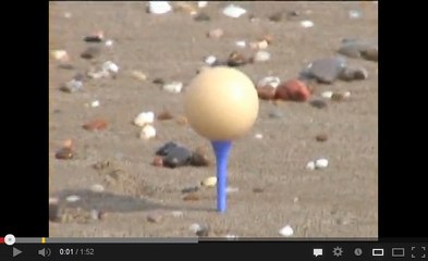 Aux Seychelles, les poissons sont nourris avec... des balles de golf