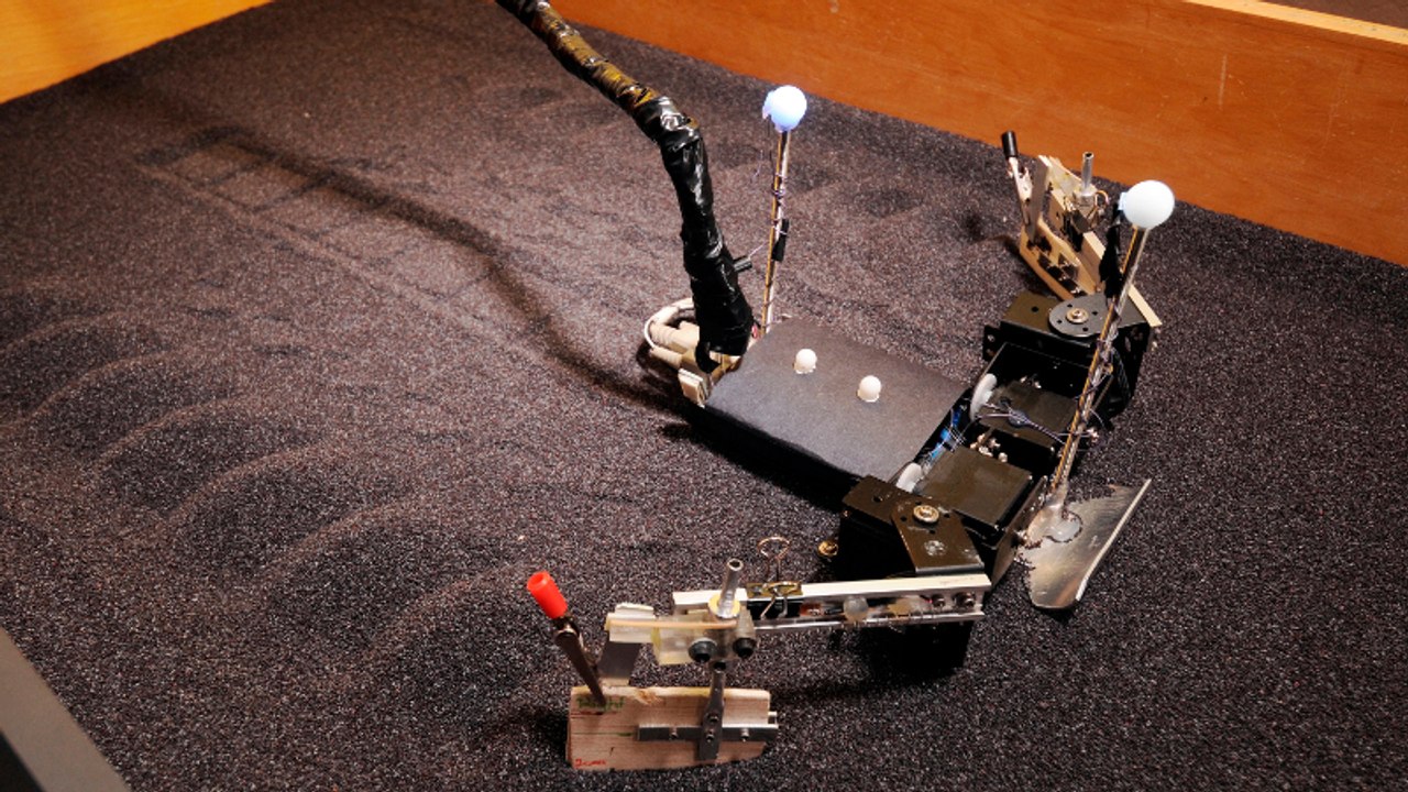 FlipperBot, un robot pour la sauvegarde des espèces menacées