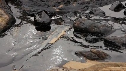 Une marée noire de 50 000 litres souille l'île de Koh Sameh en Thaïlande