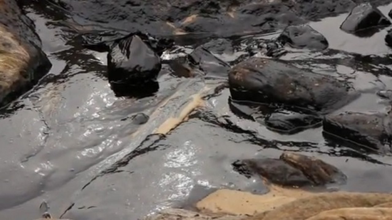 Une marée noire de 50 000 litres souille l'île de Koh Sameh en Thaïlande