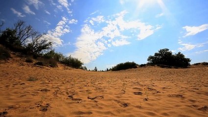 Un désert de sable menace de disparaître au Canada