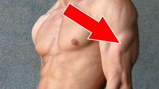 Trizeps-Übungen: Ein einfaches Trainingsprogramm ohne Geräte für Jedermann