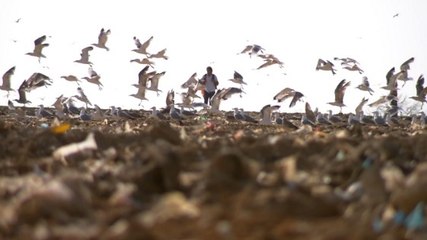 'Super trash' : le désastre écologique d'une décharge à ciel ouvert sur la Côte d'Azur