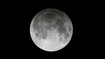 Pleine lune : suivez en direct l'éclipse lunaire pénombrale la nuit du 18 octobre