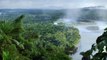 'Il était une forêt' : un merveilleux voyage au coeur de la forêt tropicale