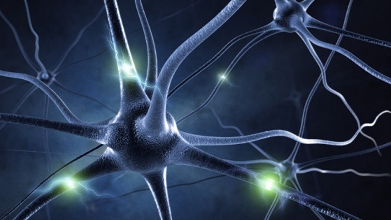 Mémoire : la formation des souvenirs observée pour la première fois dans le cerveau