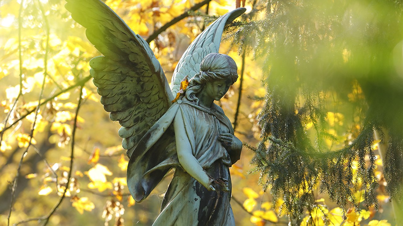 20 Minuten klinisch tot: Jetzt verrät er aus, was er gesehen hat