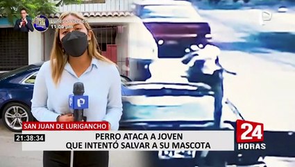SJL: Rottweiler ataca a mujer que intentó salvar a su mascota