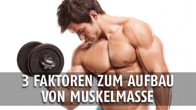 3 wichtige Tipps, wenn ihr Muskelmasse aufbauen wollt