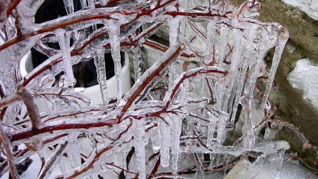 Le mystère de la formation des stalactites ondulées enfin dévoilé