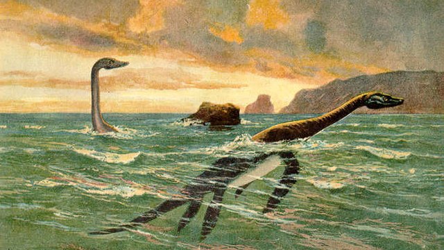 Les restes d’une immense créature marine préhistorique découverts en Colombie