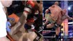 UFC: Luis Noguiera imitiert „The Rock“ und schafft den ersten „Rock Bottom“ der MMA-Geschichte