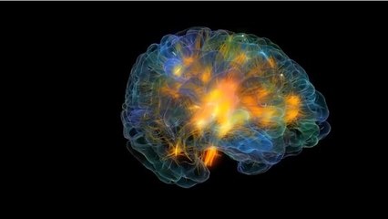 Un "cerveau de verre" pour voyager en temps réel dans votre tête