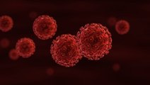 Traitement du SIDA : des cellules génétiquement modifiées pour lutter contre le VIH