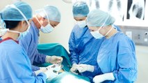 Greffe : une patiente de 5 ans reçoit sept organes en une seule opération