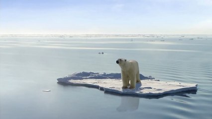"La planète est vous", un saisissant appel à la sauvegarde de notre planète