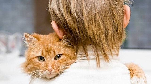 Les animaux reconnus comme doués de sensibilité , une révolution ? Pas vraiment