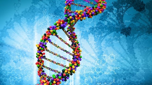 ADN : des chercheurs créent deux nouvelles lettres dans l'alphabet du vivant