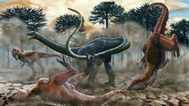 Dinosaure : un petit cousin du diplodocus découvert en Argentine