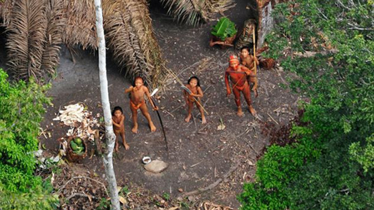 Amazonie : une tribu d'Indiens isolée fuit l’exploitation illégale de sa forêt