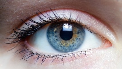 D'où vient la mystérieuse sensation de déjà-vu ?