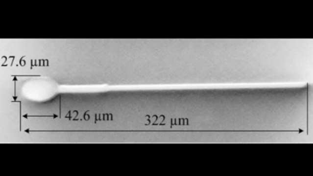 MagnetoSperm : Un micro-robot inspiré des spermatozoïdes