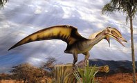 Des oeufs de ptérosaures exceptionnellement bien conservés découverts en Chine
