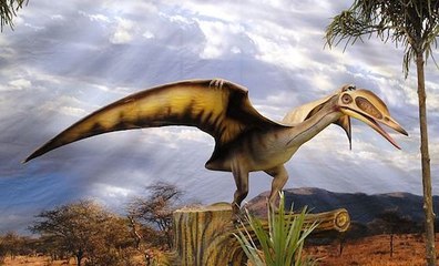 Des oeufs de ptérosaures exceptionnellement bien conservés découverts en Chine