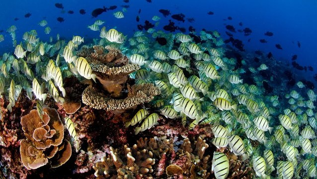 Les Etats-Unis et les îles Kiribati s'engagent pour la protection des réserves marines