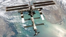 De la vie dans l'espace ? Des cosmonautes trouvent du plancton accroché à l'ISS