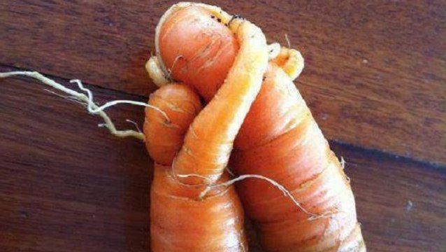 Les fruits et légumes moches se rebellent contre le gaspillage alimentaire