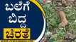 ಬಲೆಗೆ ಬಿದ್ದ ಚಿರತೆ  | Cheetah | Bengaluru | Tv5 Kannada