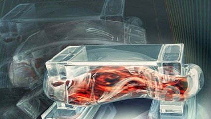 Bio-Bot : un robot composé de cellules musculaires capable de marcher !