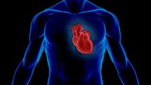 Coeur : une thérapie génique innovante pour remplacer le pacemaker ?