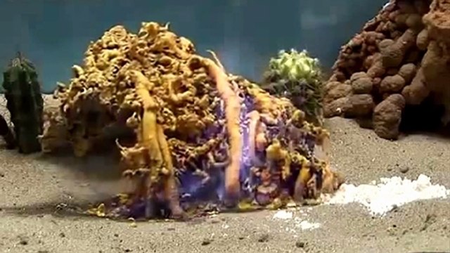 Le serpent du Pharaon, une expérience étonnante