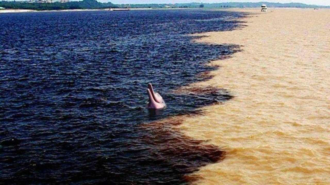 L'exceptionnelle rencontre des Eaux du rio Solimões et du rio Negro