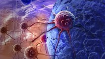 Cancer : du venin pour lutter contre les tumeurs ?