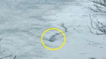 Un monstre du Loch Ness en Islande ? Une vidéo dévoile une étrange forme dans un lac