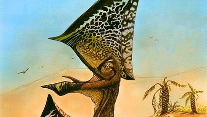 Un étrange ptérosaure à "tête de papillon" découvert au Brésil