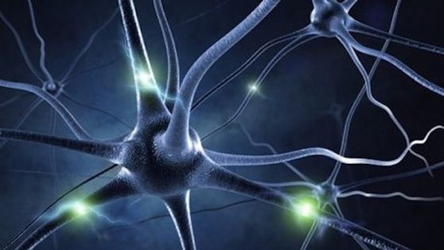 Mémoire : pourra-t-on un jour effacer les mauvais souvenirs ?