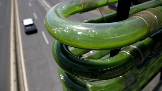 Une autoroute se transforme en culture d'algues pour réduire la pollution