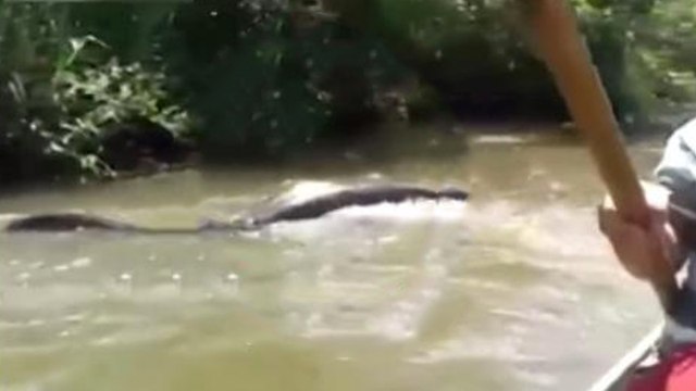 Brasilien: Fischer macht furchterregende Entdeckung im Fluss