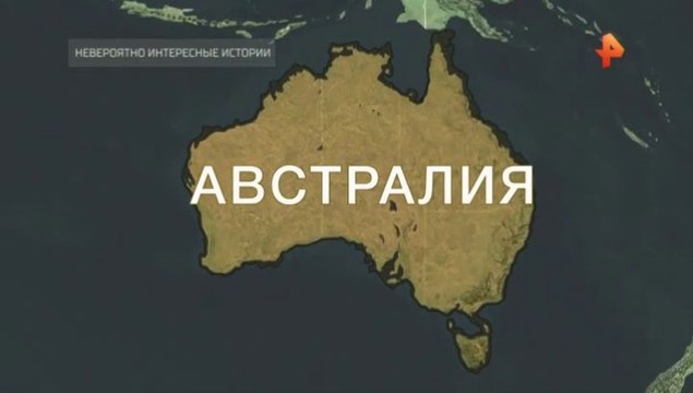 Невероятно интересные истории (02.02.2022)
