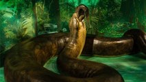Le Titanoboa, le plus gros serpent ayant jamais existé sur Terre