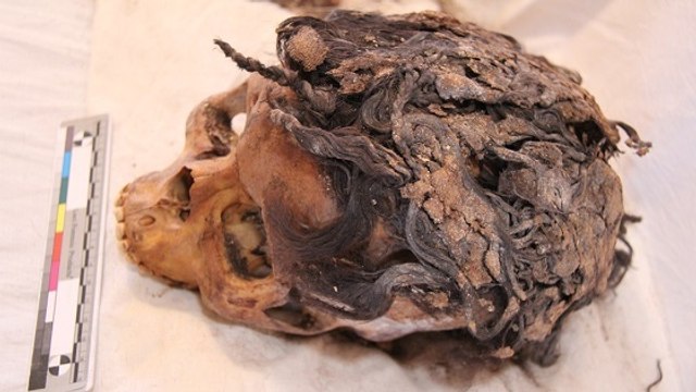 Les extensions de cheveux, déjà à la mode il y a 3 000 ans en Égypte ?